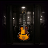 Newport - Vintage Sunburst Light Aged